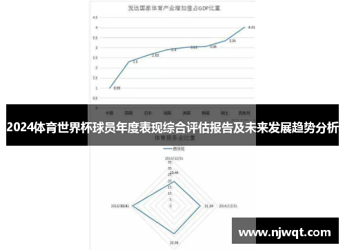 2024体育世界杯球员年度表现综合评估报告及未来发展趋势分析